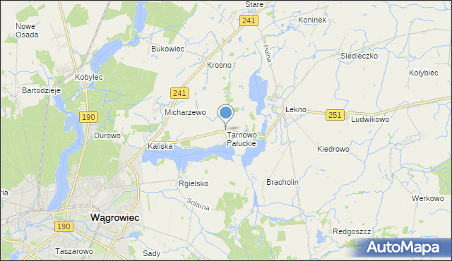 mapa Tarnowo Pałuckie, Tarnowo Pałuckie na mapie Targeo